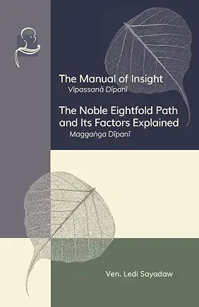 The Manual of Insight